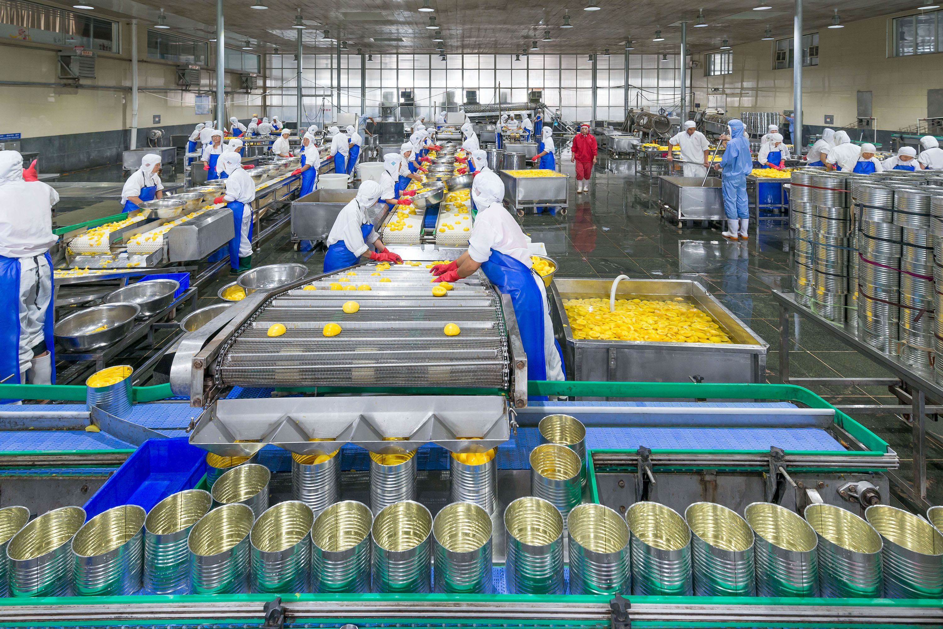 订单暴涨十倍 山东小镇生产出全国三成的黄桃罐头