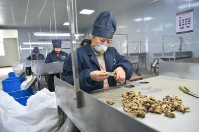 中药材致富宝 挖掘传统药业的巨大潜力与保健食品销售商机