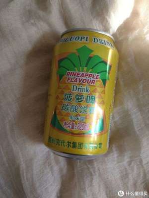 美味嘉年华 篇十五 开车聚会也能畅饮，健康无负担的菠萝小饮料